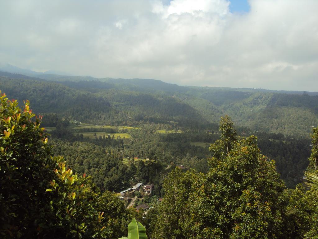 Made Homestay Munduk Экстерьер фото