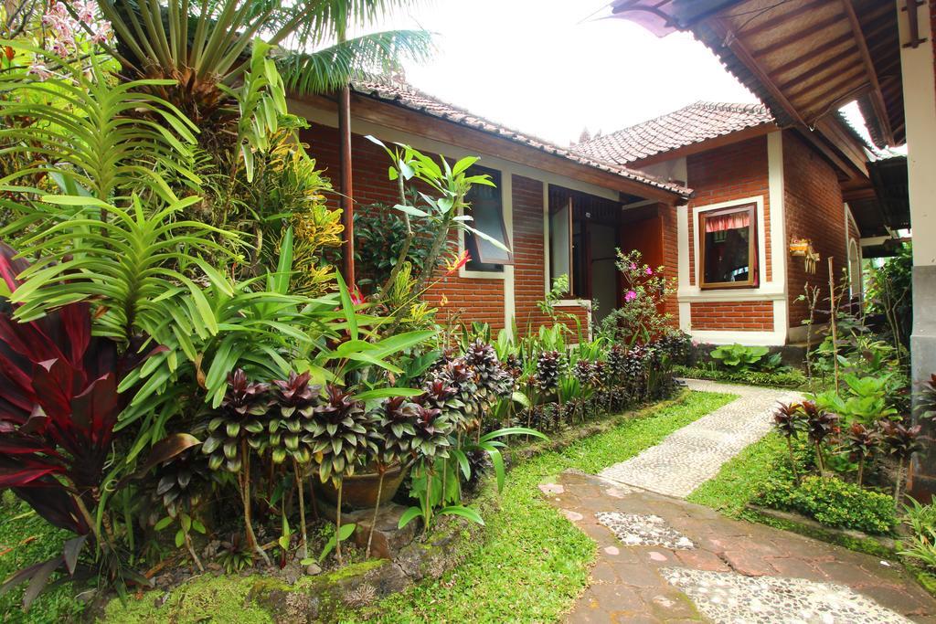 Made Homestay Munduk Экстерьер фото