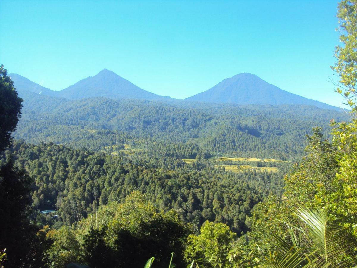 Made Homestay Munduk Экстерьер фото